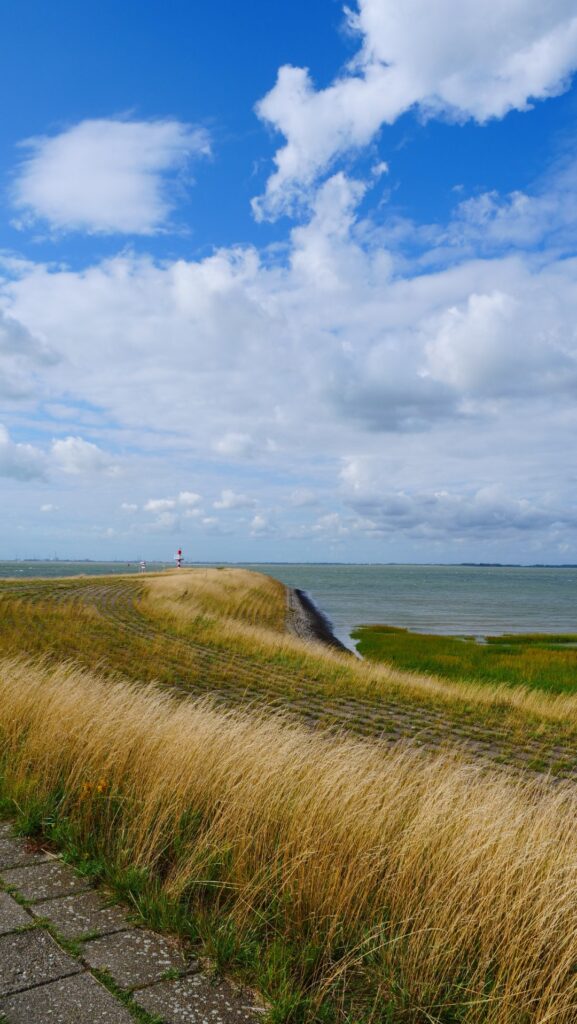 Terneuzen