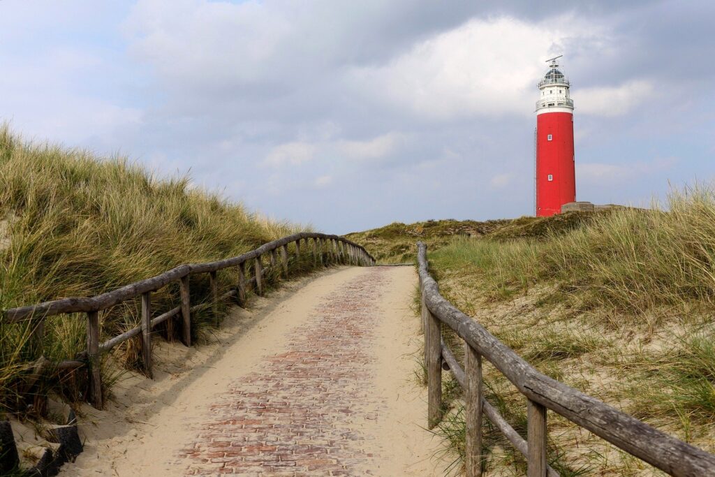 Texel
