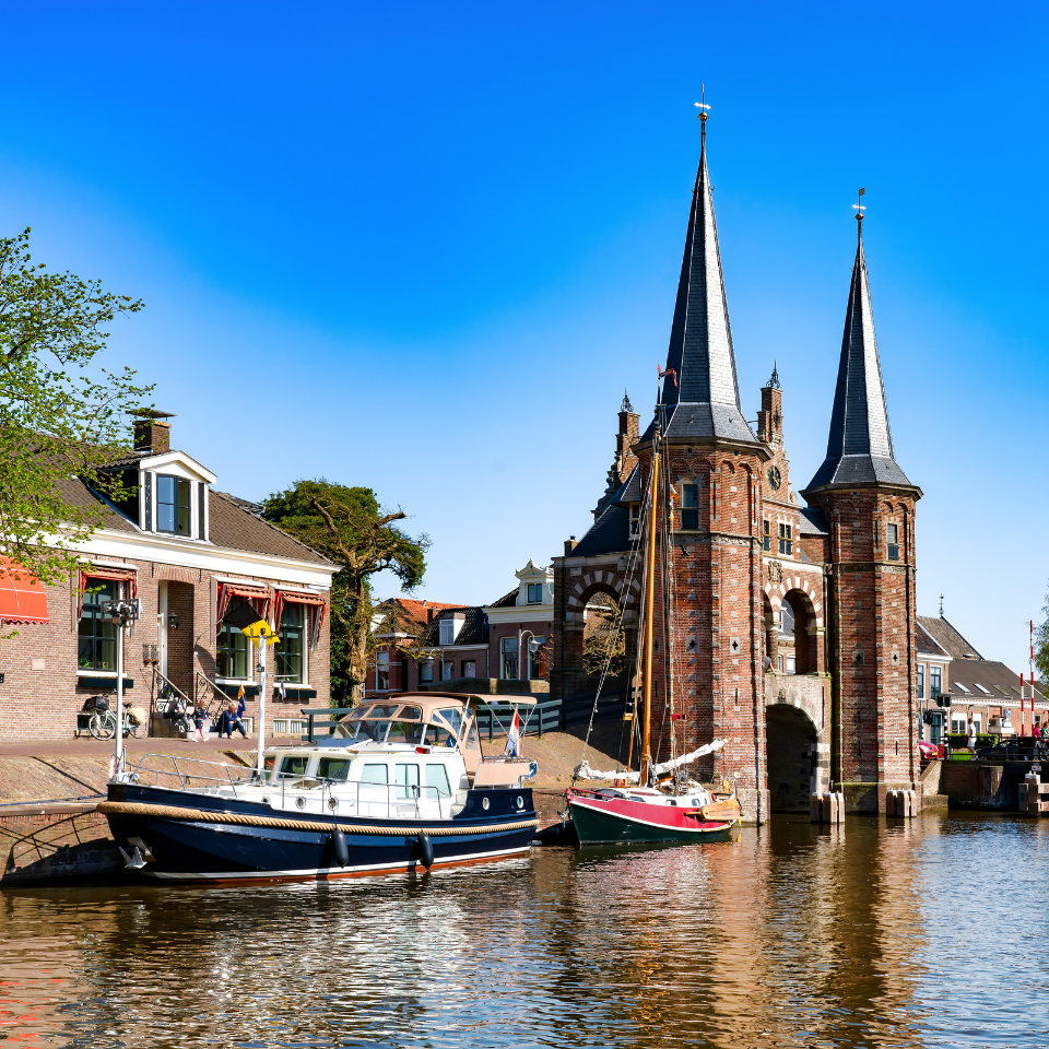 Sneek