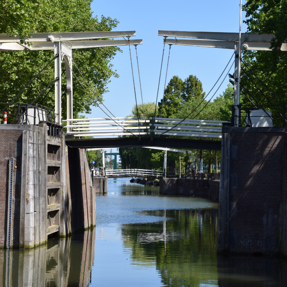 WEBSITE - Headers formaat vierkant (32)