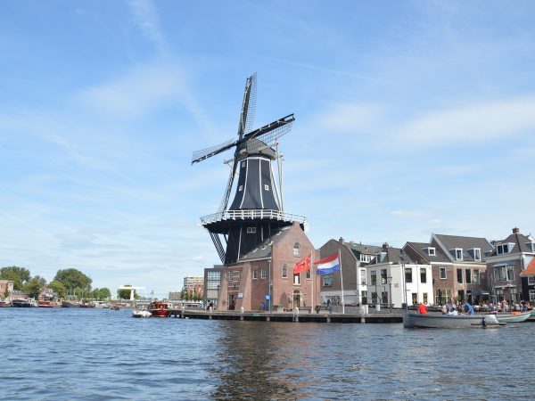 TanQyou-park-Haarlem