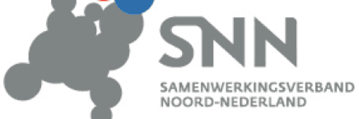 interactief-peilsysteem