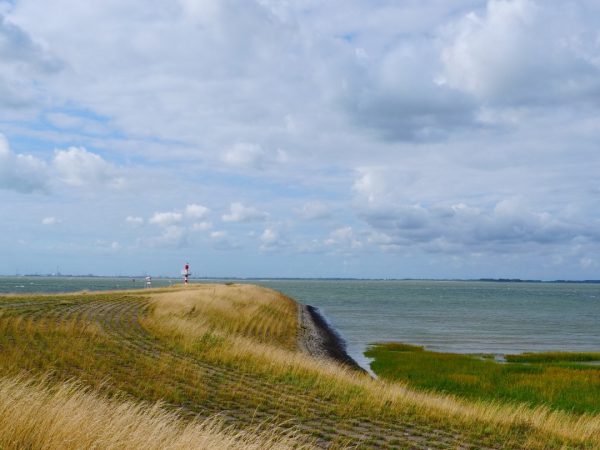 Terneuzen