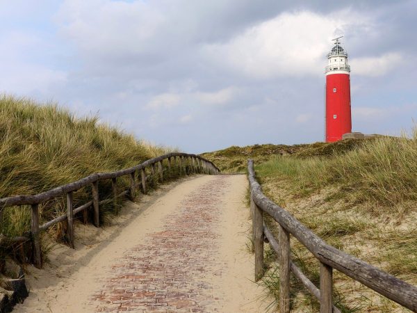 Texel